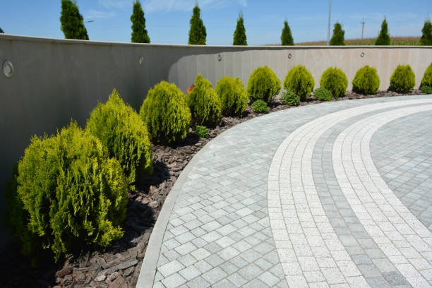 Best Custom Driveway Pavers  in Moenkopi, AZ